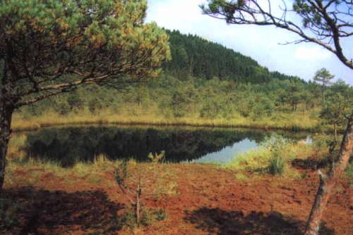 Lacul Sfanta Ana poza